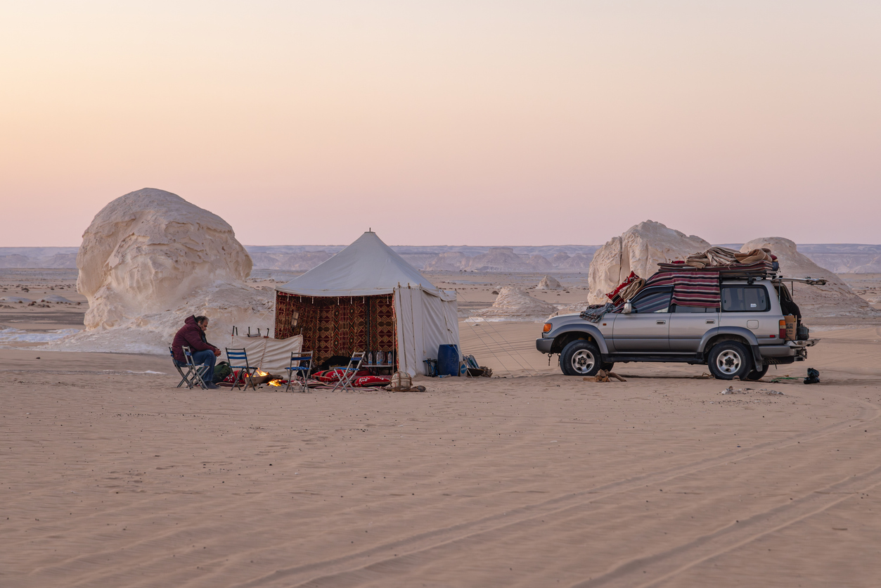 Deserto ed Oasi