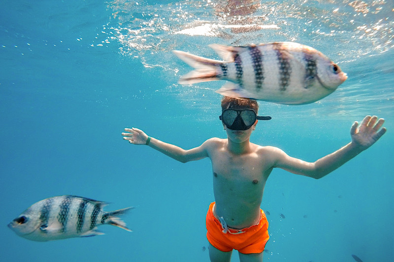 immersioni mar rosso, un bambino con i pesci immersioni mar rosso, un bambino con i pesci