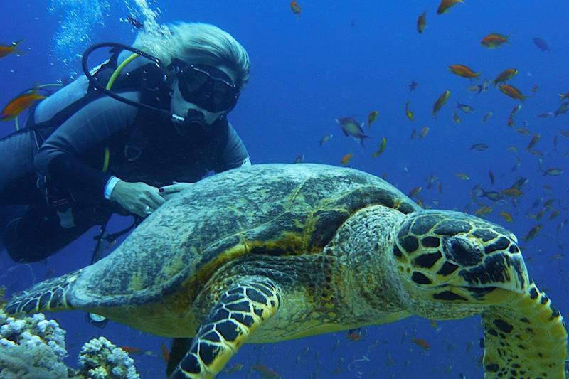 immersioni mar rosso, una donna nuota con la tartaruga