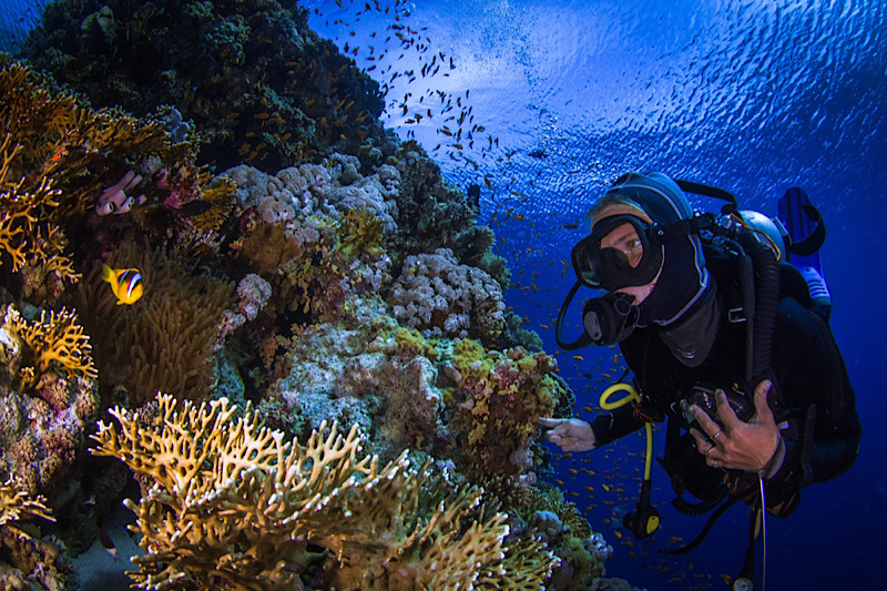 immersioni mar rosso, immersioni a hurghada immersioni mar rosso