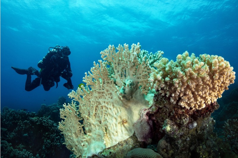 Mar Rosso località più belle, Makadi Bay