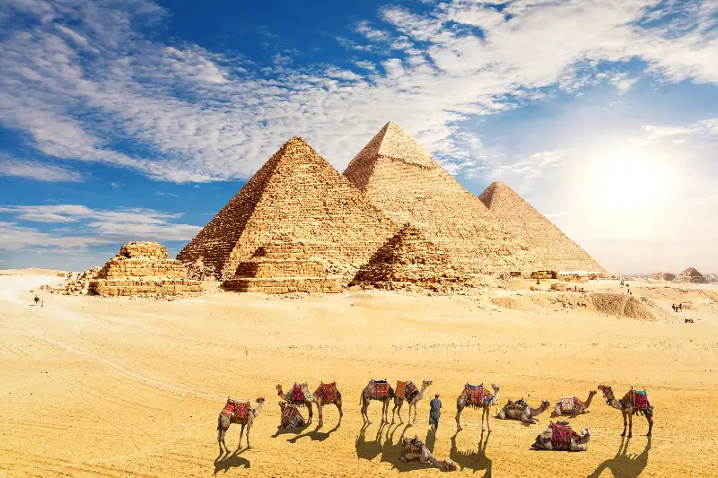 Un cammello davanti alle piramidi al tramonto