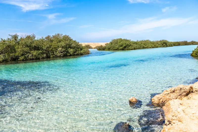 un uomo al Parco Nazionale di Ras Muhammad Cose da fare a Sharm el Sheikh un uomo al Parco Nazionale di Ras Muhammad Cose da fare a Sharm el Sheikh