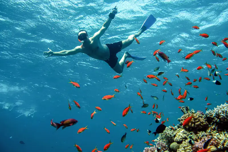 Cose da fare a Sharm el Sheikh, Fai snorkeling alla spiaggia di Ras Um Sid