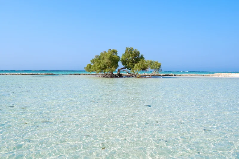 Le isole di Qulaan è una delle isole del mar rosso Le isole di Qulaan è una delle isole del mar rosso