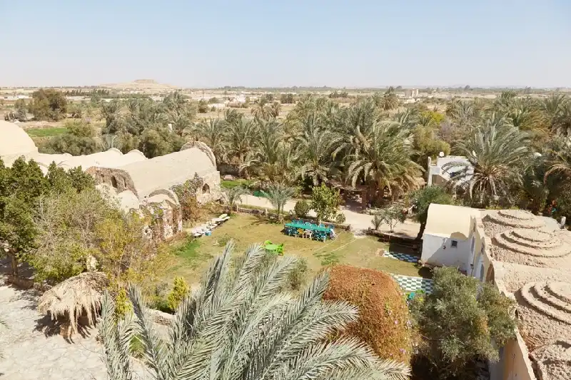 L'Oasi Bahariya, oasi egitto L'Oasi Bahariya, oasi egitto