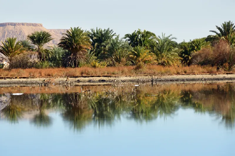 L'oasi di Farafra, oasi egitto