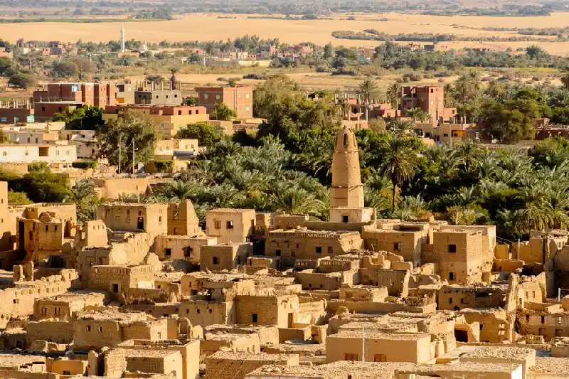 L'oasi di Dakhla, oasi egitto L'oasi di Dakhla, oasi egitto