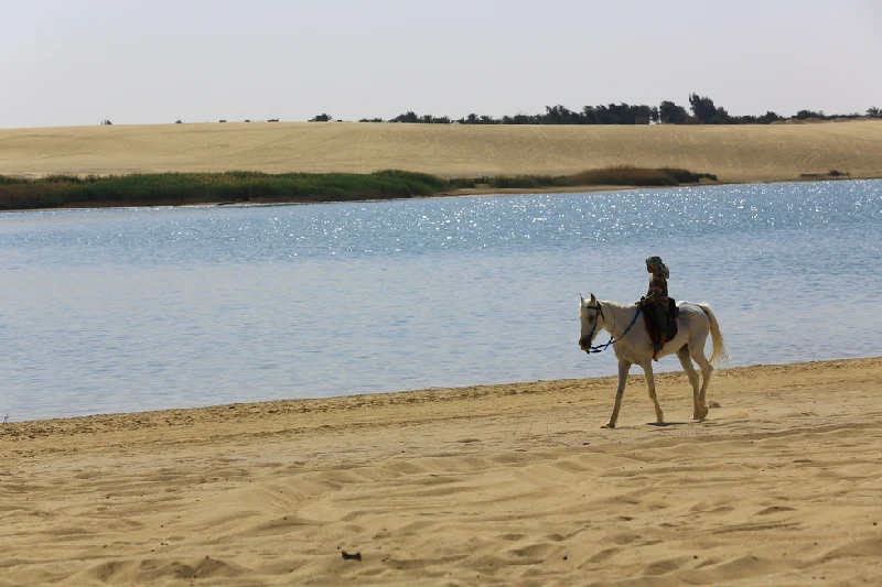 un uomo ammira il tramonto al Fayoum, oasi in egitto un uomo ammira il tramonto al Fayoum, oasi in egitto