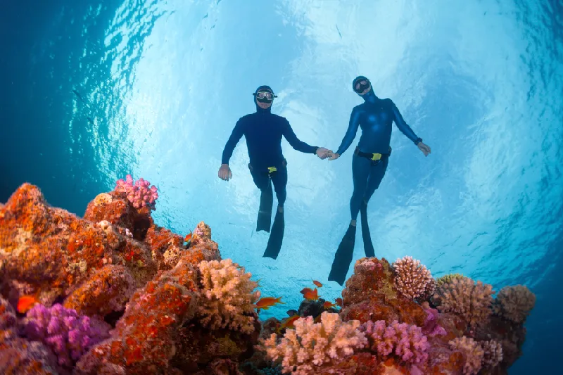 Viaggio di nozze in Egitto, una coppia a marsa alam Viaggio di nozze in Egitto, una coppia a marsa alam