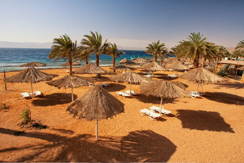 le spiagge dell'aqaba le spiagge dell'aqaba