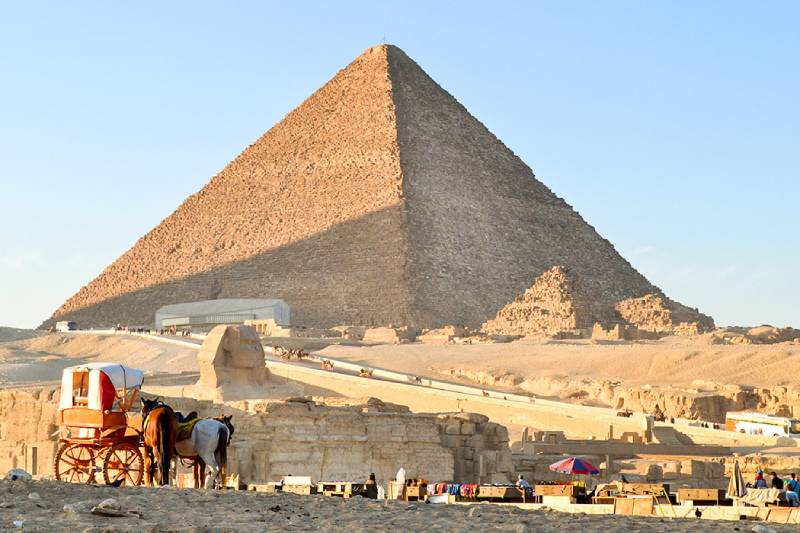 Cavalli davanti alla piramide di cheope
