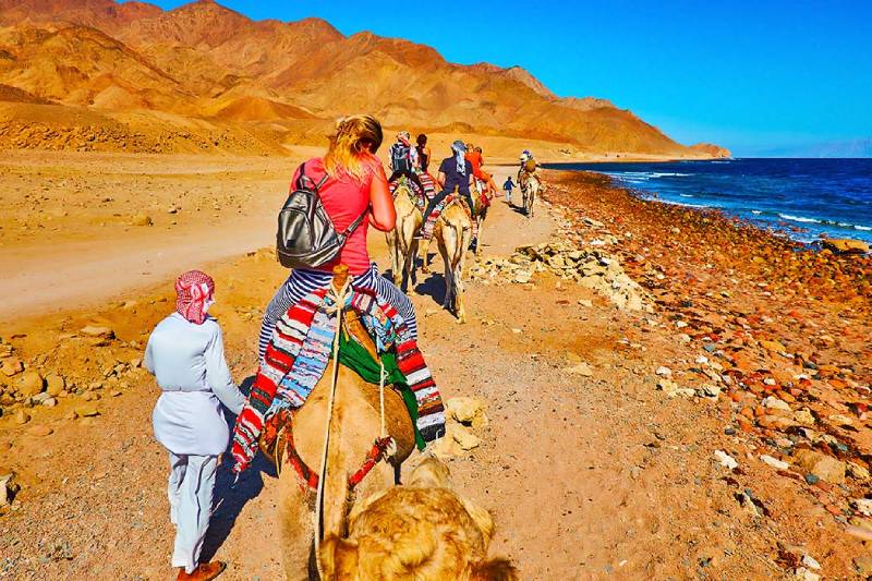 Un gruppo di turisti a dorso di cammello sulla spiaggia