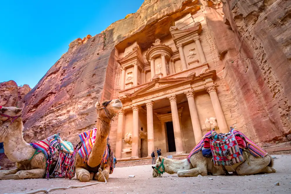 Crociera Egitto e Giordania ,cammelli davanti a Petra