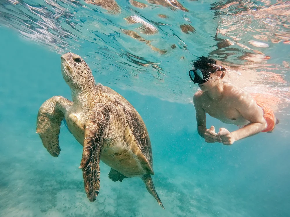 un ragazzo a marsa alam, vacanza egitto