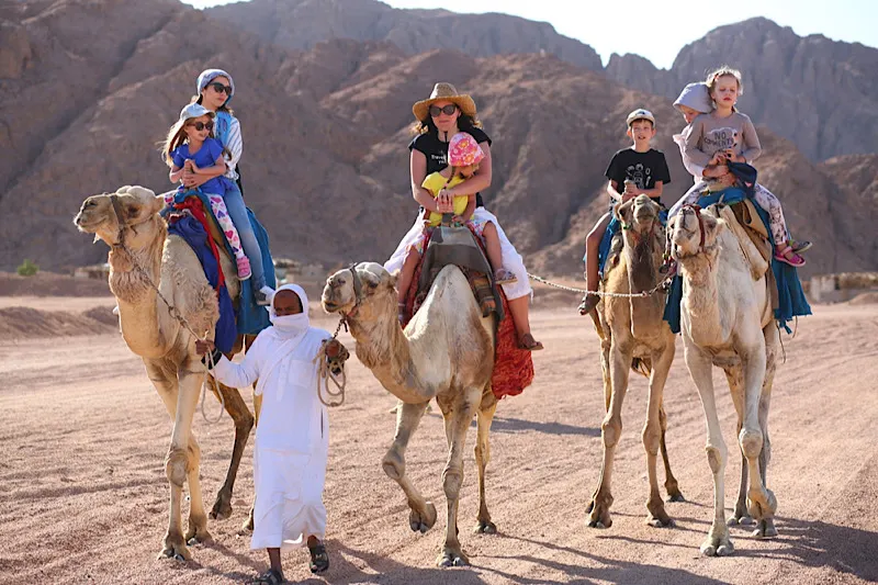 viaggio egitto e giordania, un gruppo cavalca cammelli