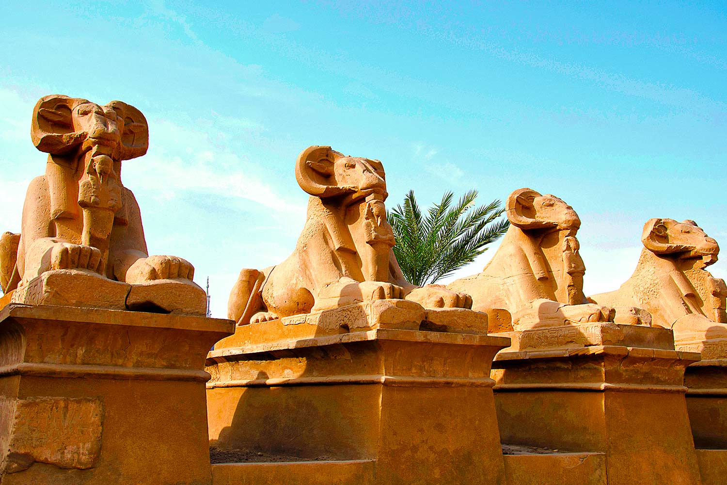 la statua del dio amon al tempio di luxor la statua del dio amon al tempio di luxor