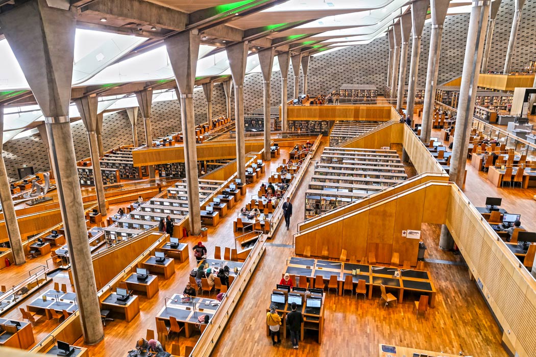 la biblioteca di alessandria. la biblioteca di alessandria.