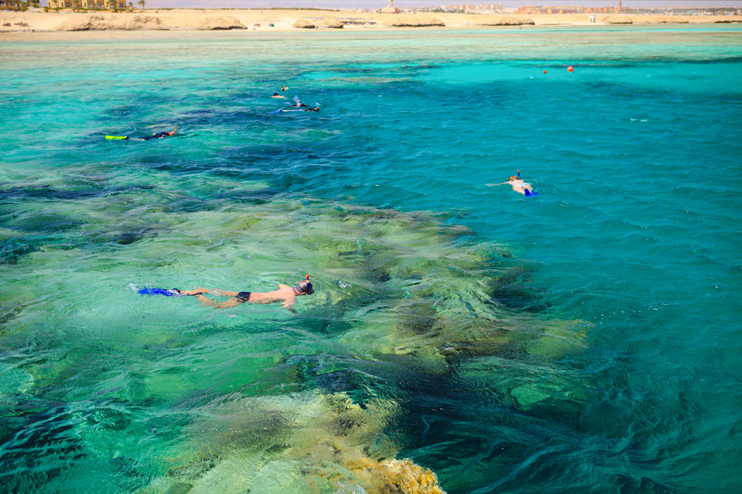 un uomo fa snorkeling nel Mar Rosso durante il viaggio a Marsa Alam in Egitto