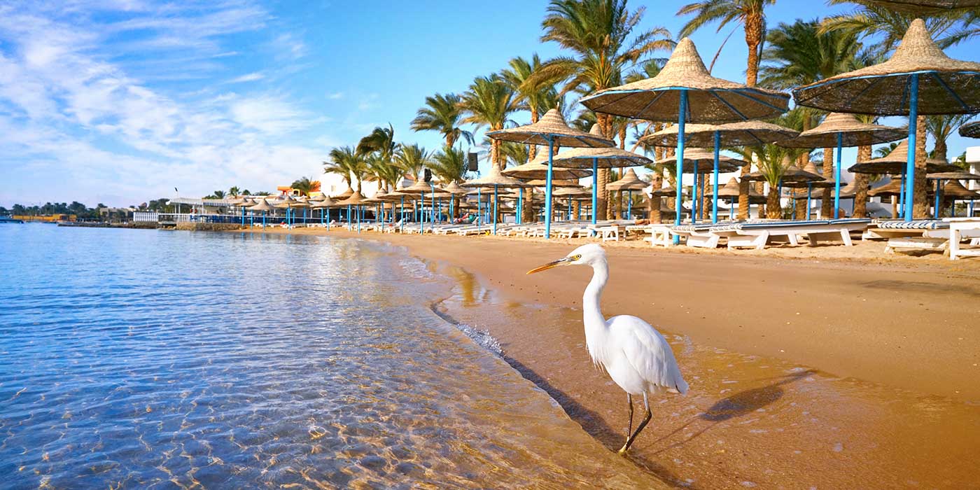 la città di hurghada al Mar rosso Egitto la città di Hurghada al Mar rosso Egitto