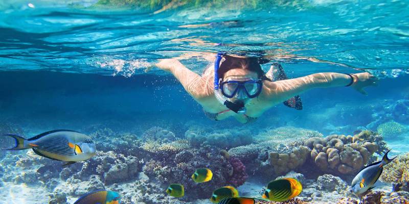 una ragazza fa snorking a sharm ek sheikh egitto una ragazza fa snorking a sharm ek sheikh egitto