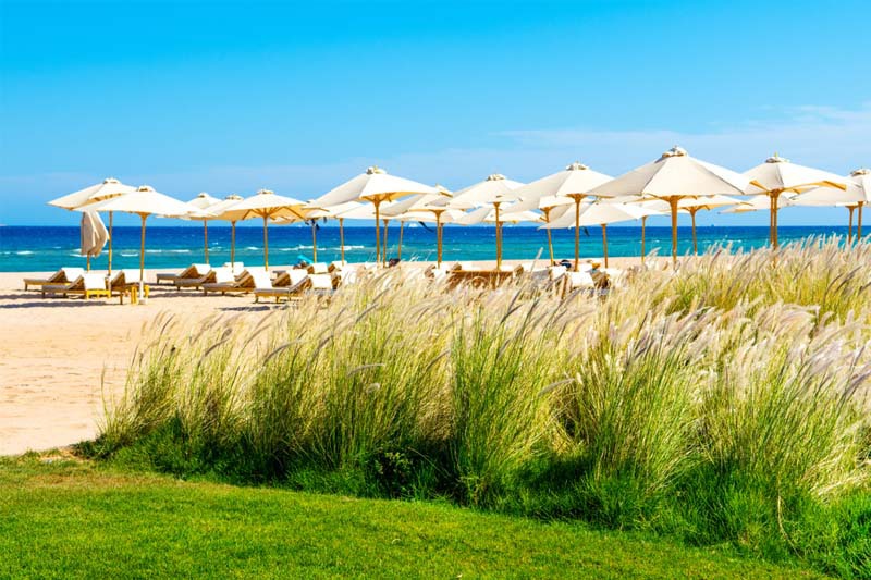 Sahl hasheesh in egitto Sahl hasheesh in egitto