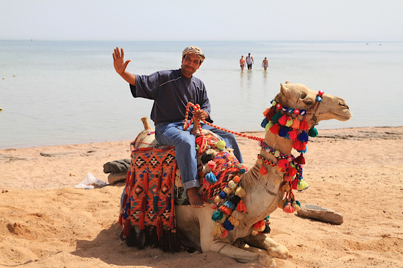 sicurezza a sharm el sheikh, un uomo cavalca un cammello