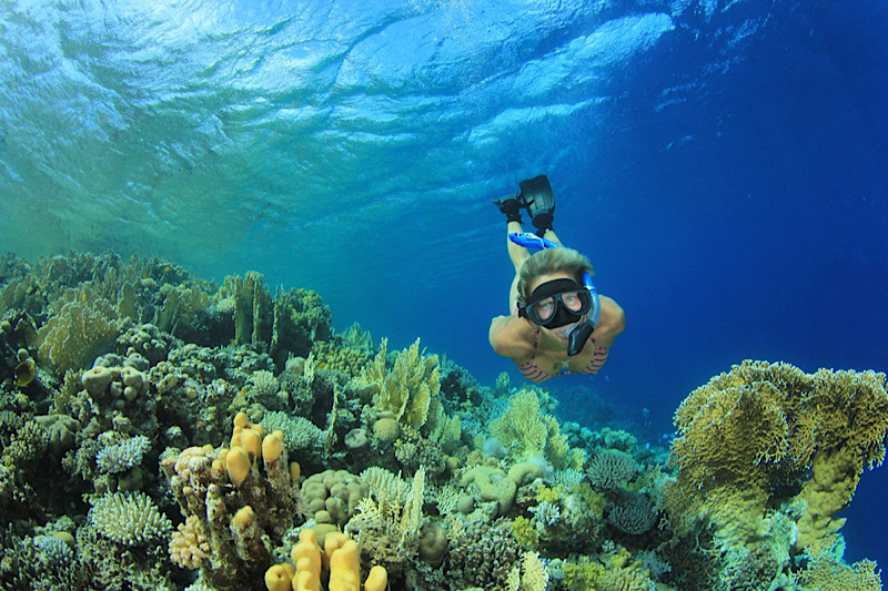 Temperatura Marsa Alam Aprile Temperatura Marsa Alam Aprile