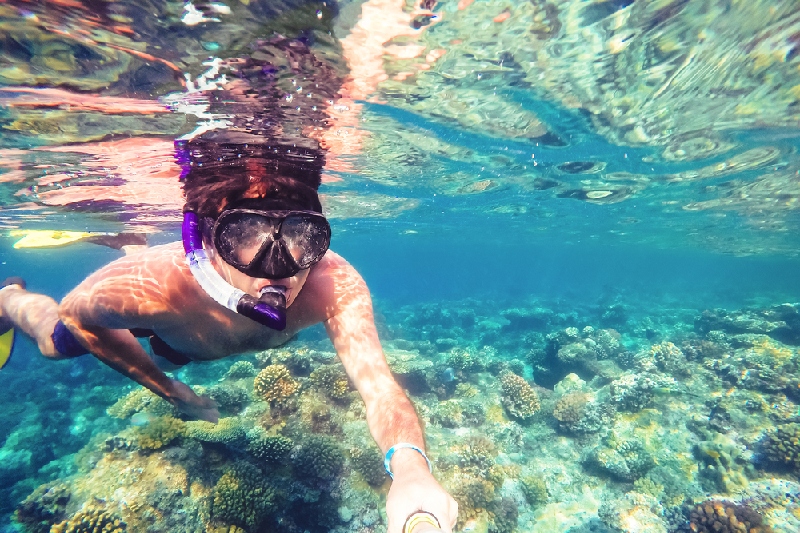 porti sul mar rosso, un uomo fa lo snorkling porti sul mar rosso, un uomo fa lo snorkling