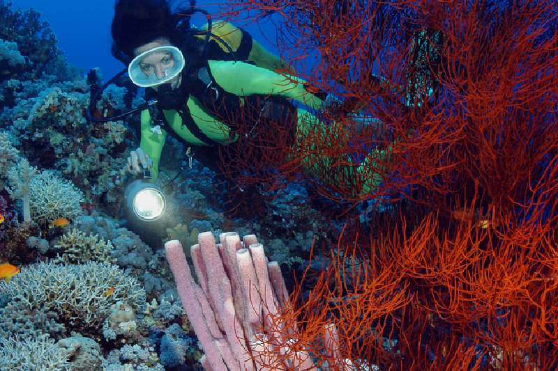 porti sul Mar Rosso, una donna pratica attività a safaga porti sul Mar Rosso, una donna pratica attività a safaga