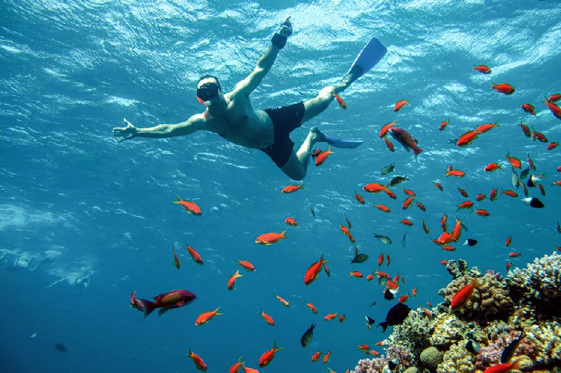 taba mar rosso, un uomo nelle profondità del Mar Rosso taba mar rosso, un uomo nelle profondità del Mar Rosso