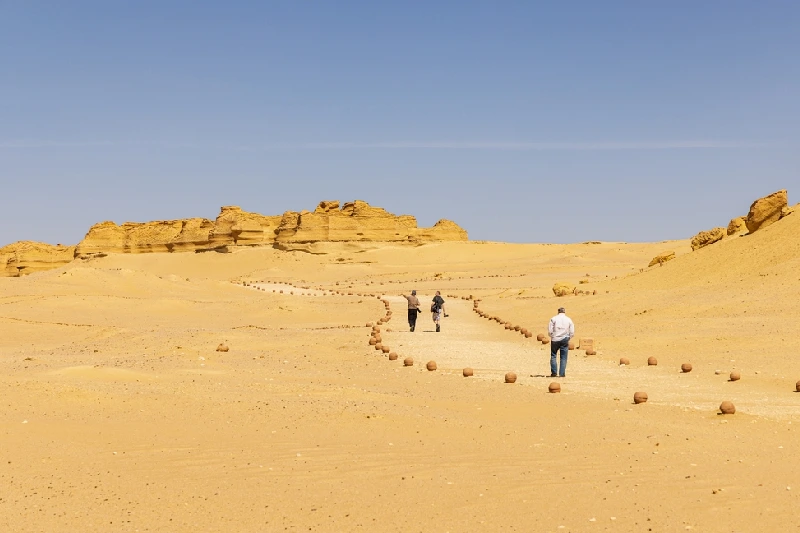 Wadi Hitan Wadi Hitan