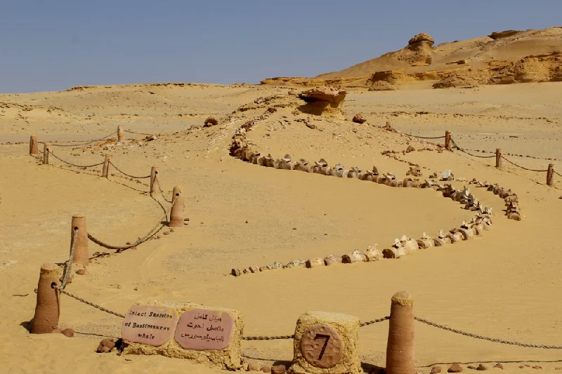Wadi Hitan Wadi Hitan