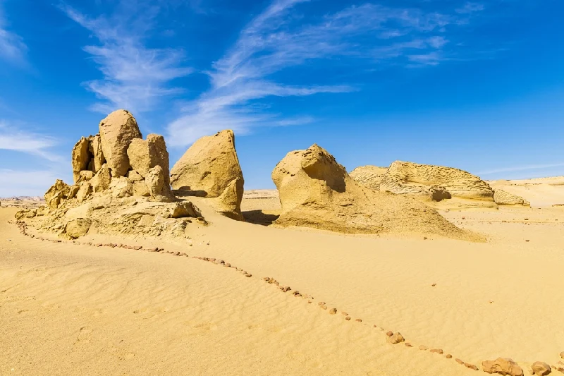 Wadi Hitan Wadi Hitan