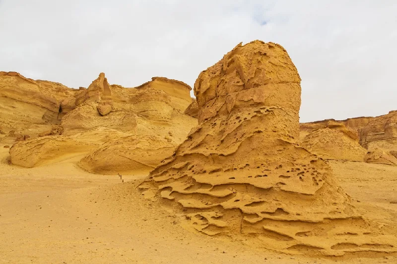 Wadi Hitan Wadi Hitan