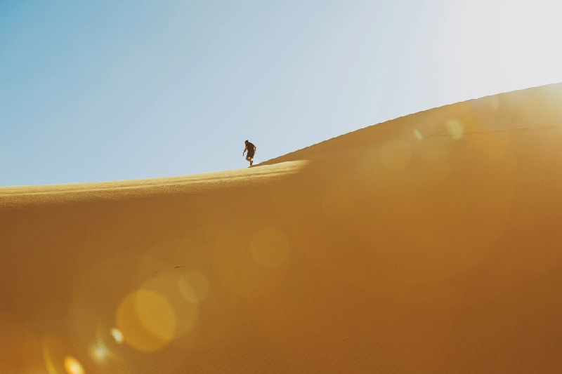 Wadi Hitan Wadi Hitan